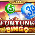 fortune bingo